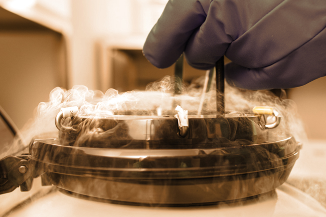 Crioconservazione degli Embrioni con la Dr.ssa Chiara Granato