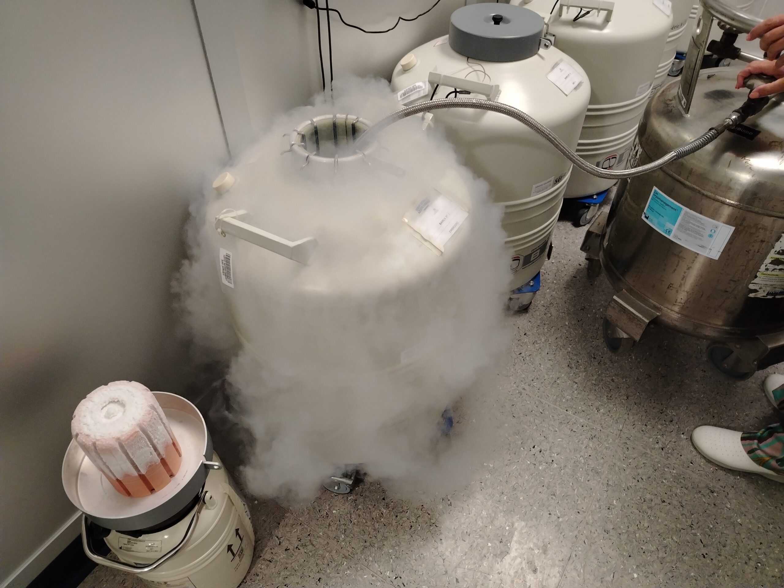 Criobanca dei Gameti. Responsabile Dr.ssa Chiara Granato