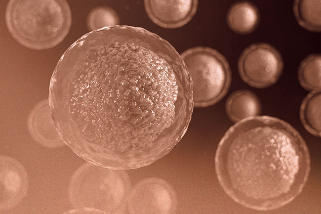 Ormone Antimulleriano e Fertilità - Dr.ssa Chiara Granato